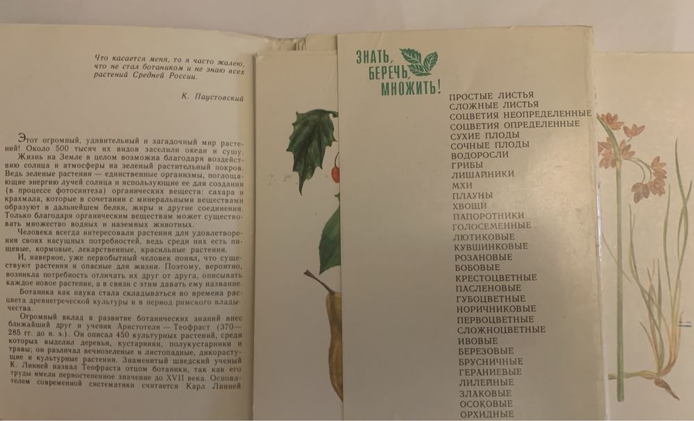 Лекарственные растения (наборы открыток СССР)