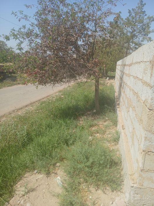 yer uchaska 12 sutiq kadastir bor