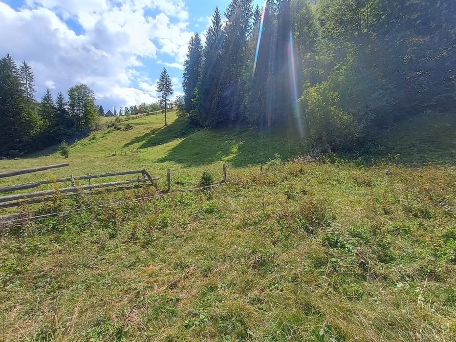 Vand teren pentru  cabana Garda de Sus