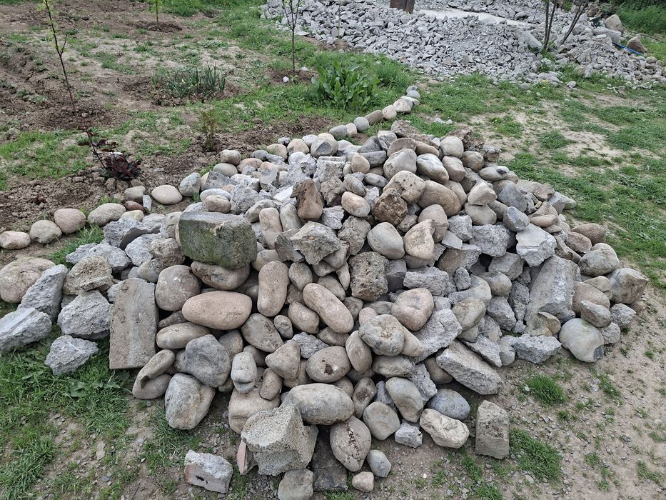 Отдам даром бесплатно срочно