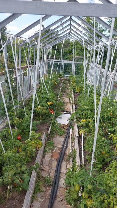 Продам дачу ПК Каучук