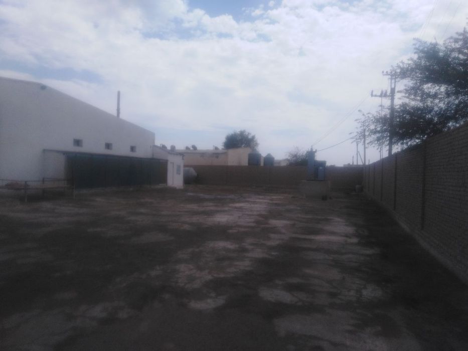 Tovuq sex sotiladi parranda xona