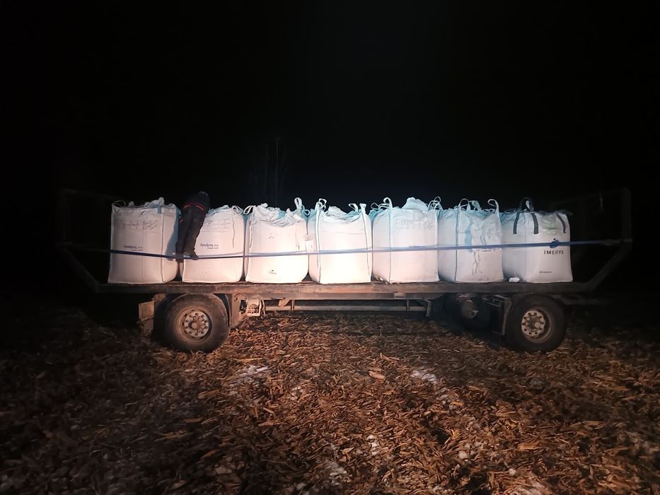 Porumb boabe Pioneer, iarna combinat