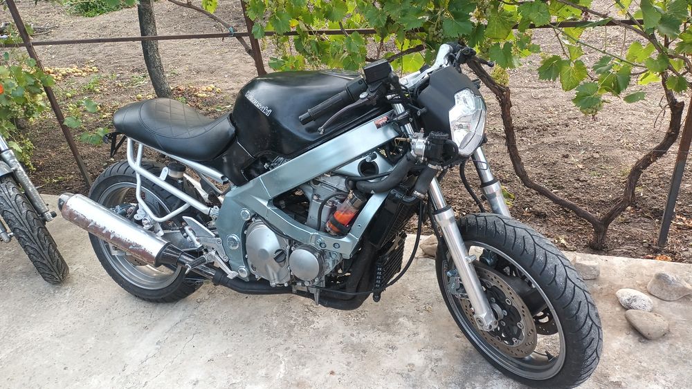 Kawasaki zzr și er5