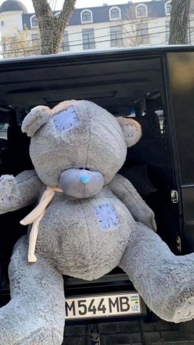 Оптим ТЕДДИ ™ тедди Teddy