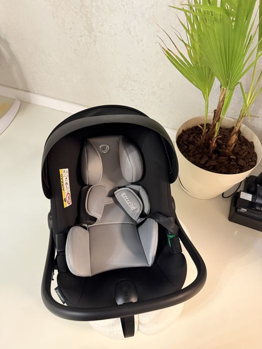 scoica coelle nefolosita