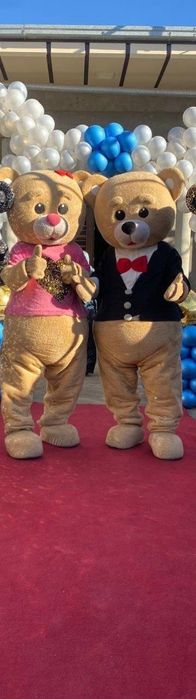 Teddy ayiq hovoli qizil koʻk ayiqlar sarpo qutilar  qutilarni material