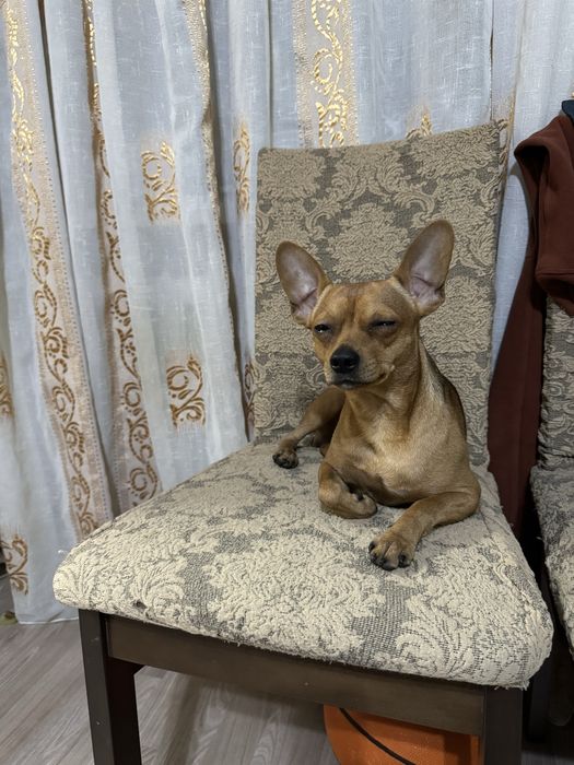 Мальчик ищет девочку