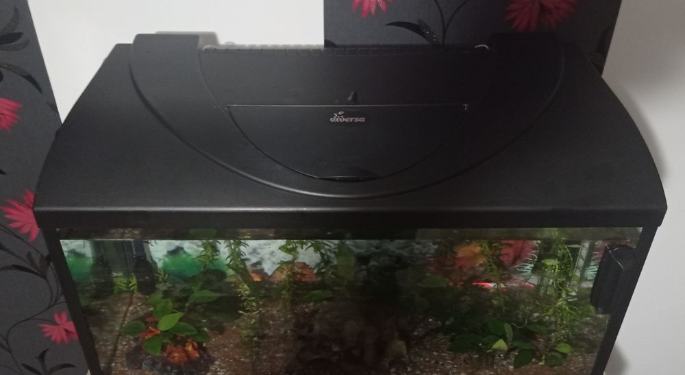 Acvariu 100litri