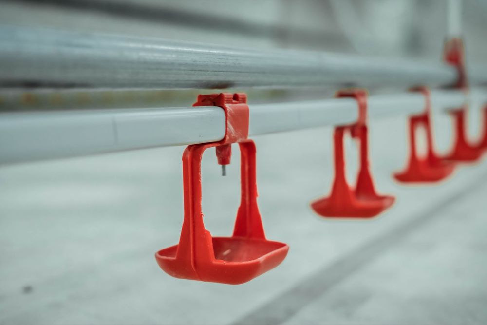 Автомат, ручной кармушки и поилки