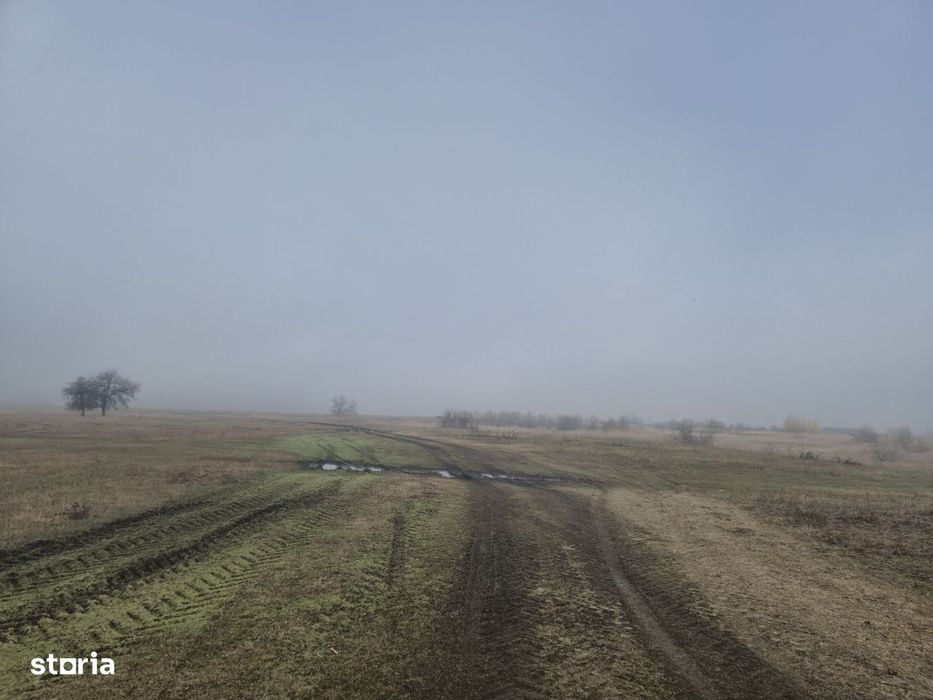 Teren 3.000 mp cu autorizație hală – Holboca, Iași | Rate