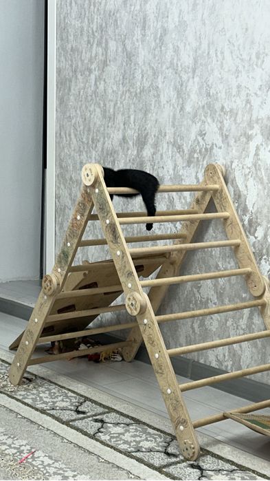 Продам Пиклер с горкой