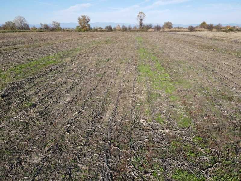 Продава се Земеделски имот в с. Крислово, Област Пловдив -  кв.м за 62 €/дка - Снимка #9