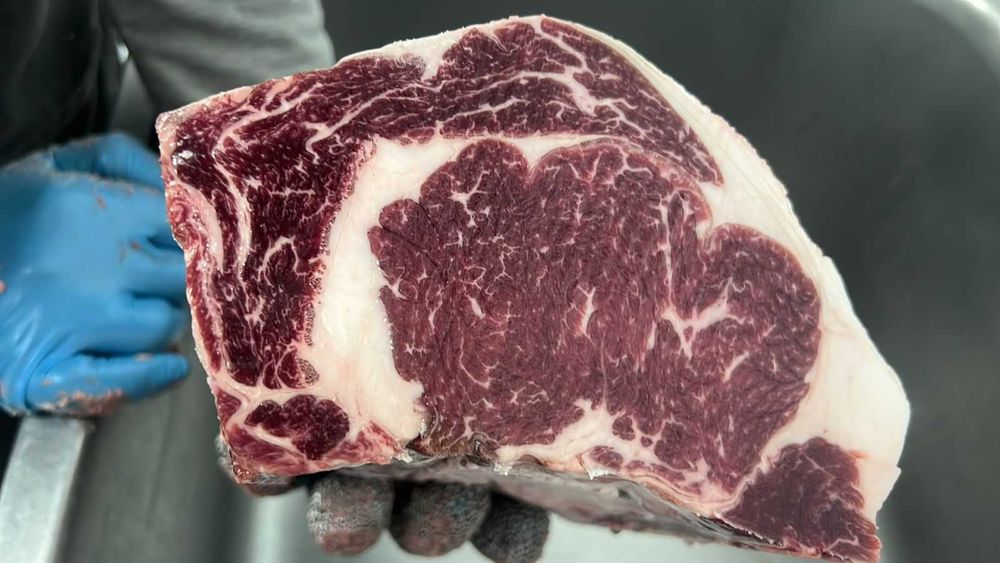 Мясо говядины стейк Рибай оптом