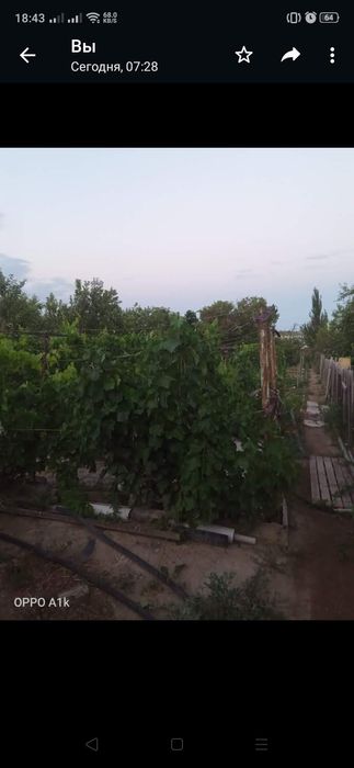 Продаётся дача на берегу солёного озера - Изглед 4