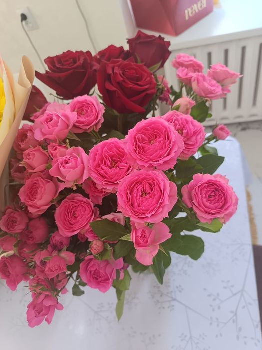 Цветы продам свежие