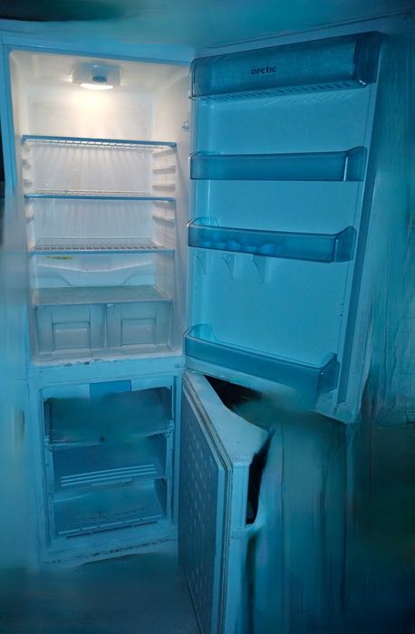 Combină frigorifică Arctic