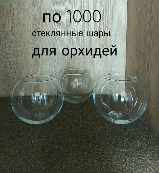 Продам кашпо и бонсайницы