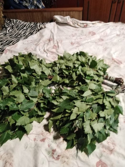 Банные Веники!!! 1500