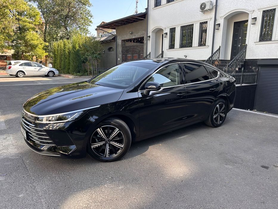 Byd Chazor 55km 2026