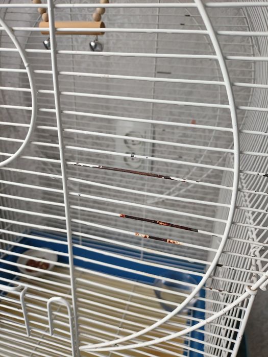 Клетка (за вашу цену)