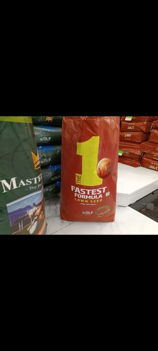 Gazon urug'i Optom va Bio Gomus