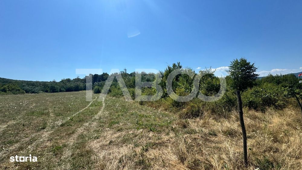Teren extravilan 2700 mp oportunitate investitie Calea Poplacii Sibiu