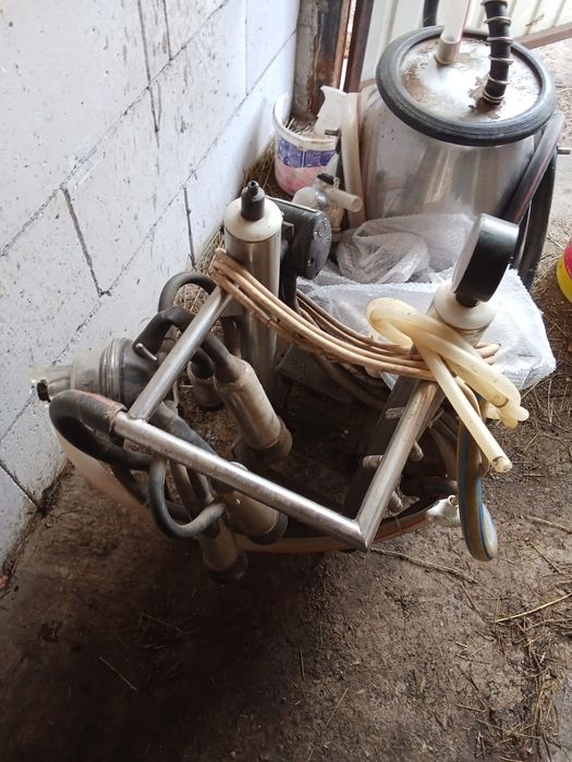 Vand mulgatoare vaci