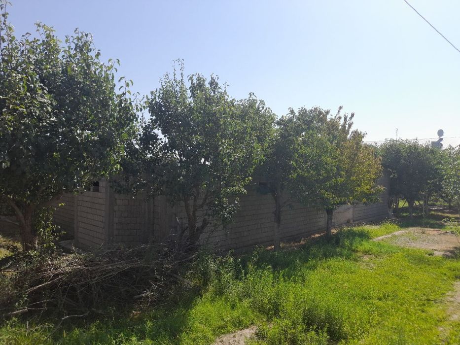 Ер сотилади. Янги арик махалласида. Катта йул ёкасида.