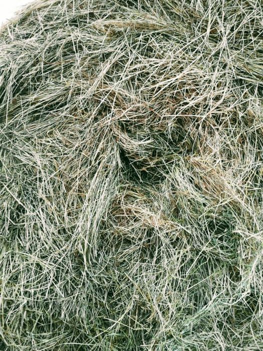 Balot rotund fân/lucernă