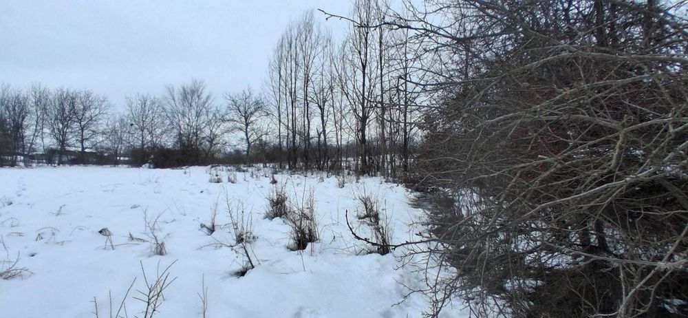 Oportunitate , teren intravilan 1.830 mp , D-31.5 ml