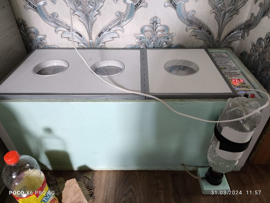 Продам инкубационный яйцо