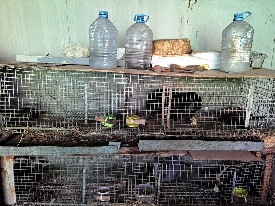 продам клетки для животных