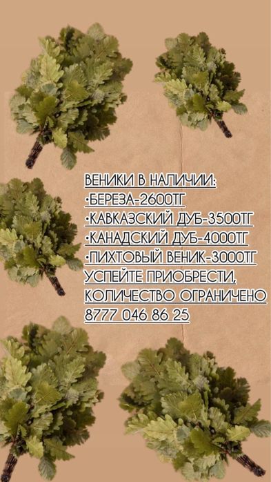 Банные веники Балхаше