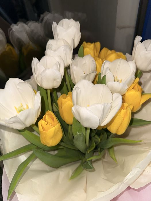 Свежие тюльпаны .