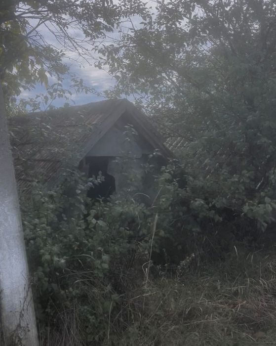 Teren cu cabana sarmasag