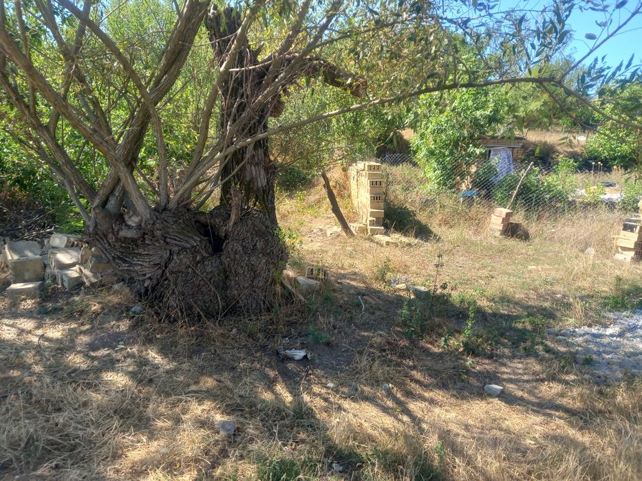 Продава се Къща в с. Риш, Област Шумен - 100 кв.м за 74 €/кв.м - Снимка #10