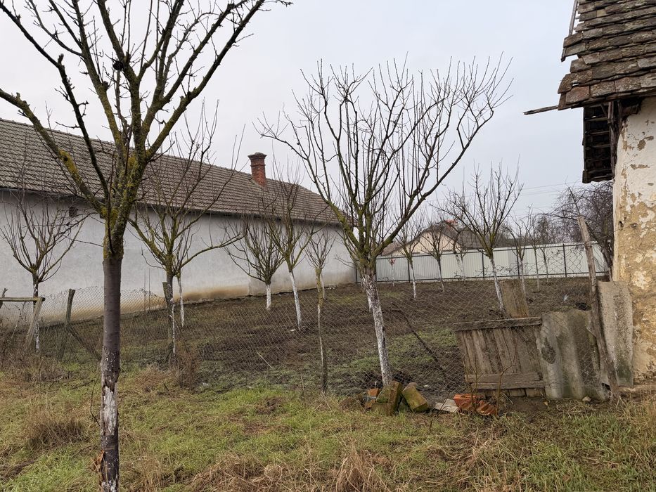 Casa de vanzare Graniceri