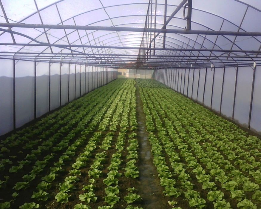 solarii ieftine de calitate  superioara