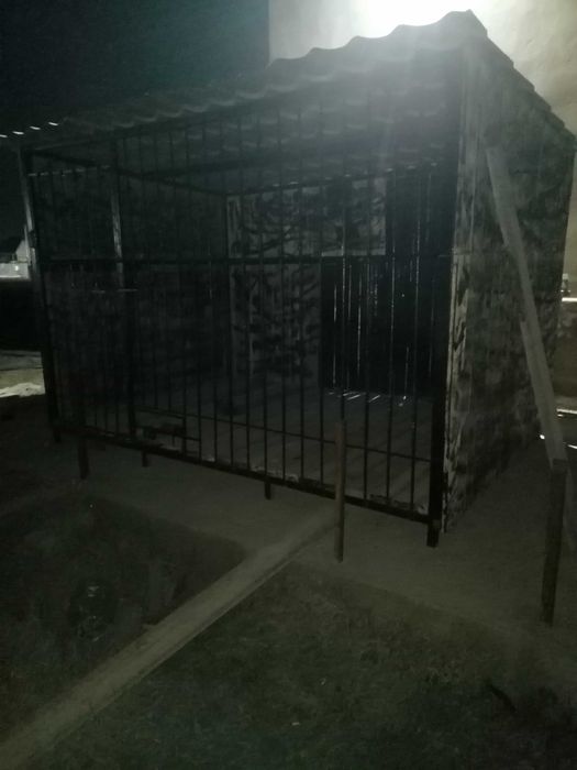 Вольер для собака, алабай,