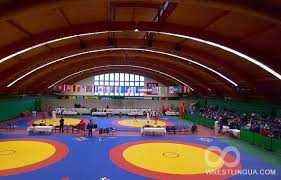 Борцовский ковер (без матов), 6м х 6м