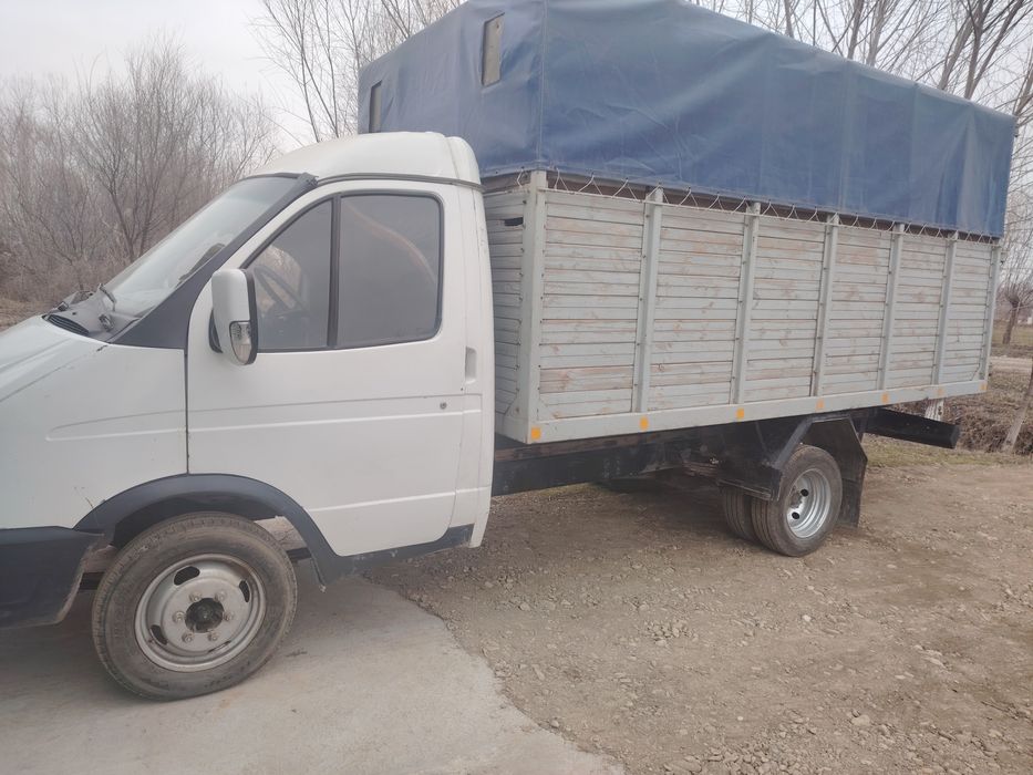 Gazel zor sastayaniya