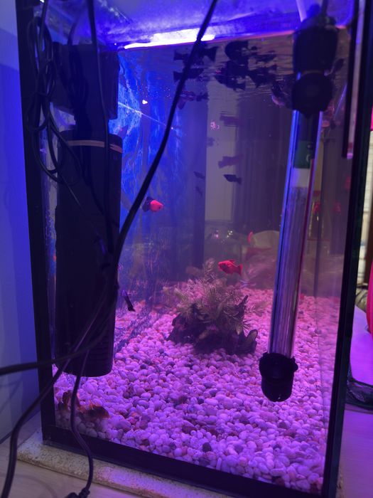 Продам аквариум 120 литров