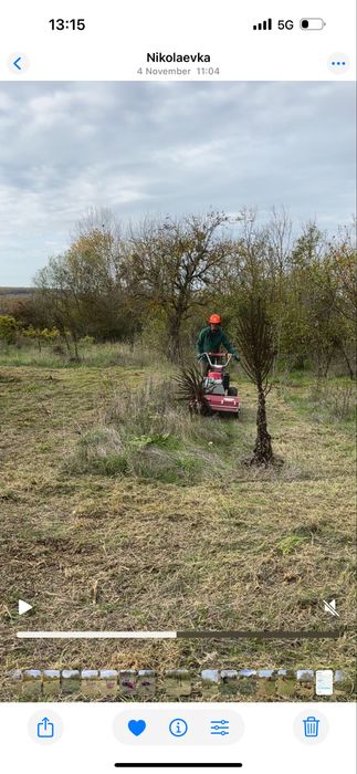 Почистване на дворове, парцели, овощни градини, солари с мулчер