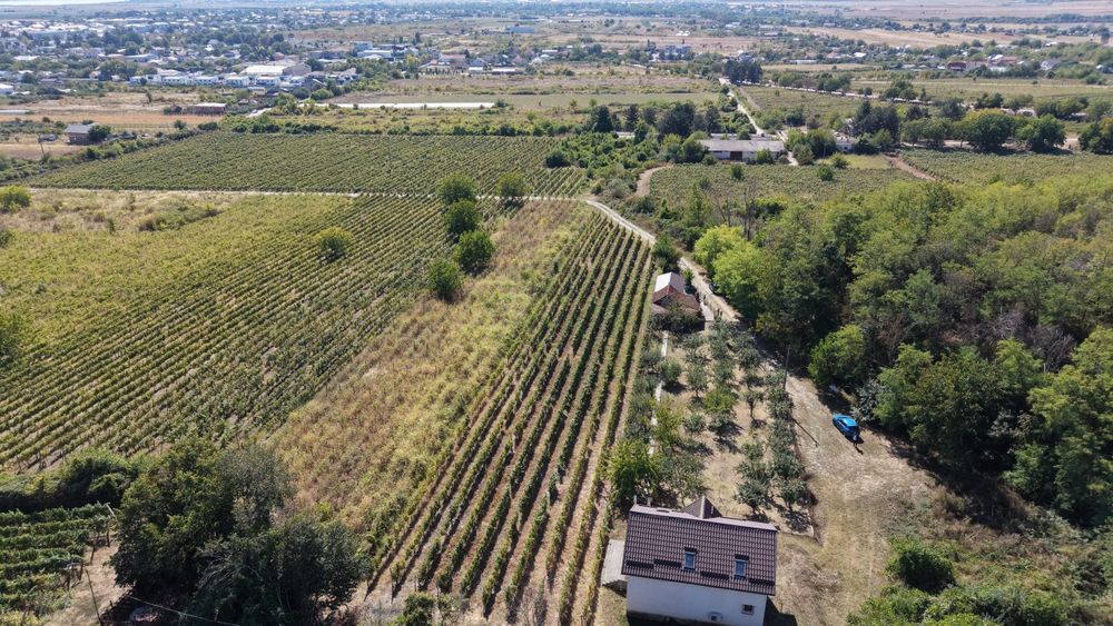 Casă de vânzare LA Drăgășani