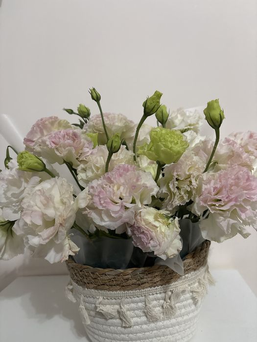 Алынғанына 2 сағат қана болды