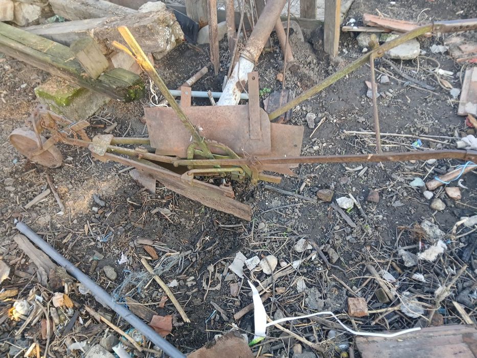 Corman dupa cal sau boii