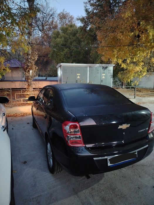 Cobolt 2024 Black ltz.