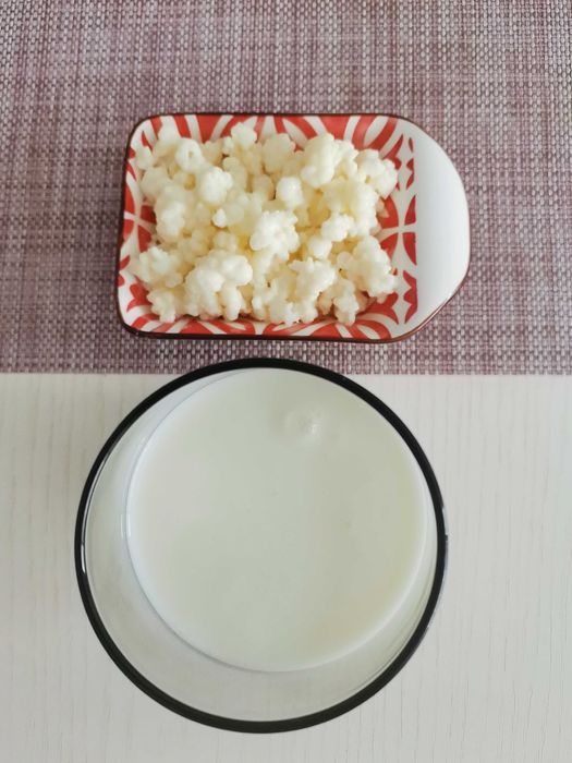 КЕФИРНИ  зърна. Кефир  за направа на напитка. Тибетски кефир