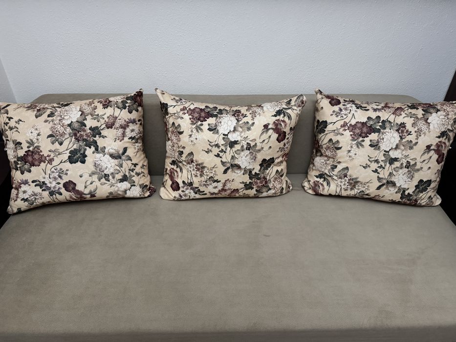 Canapea extensibilă în stare excelentă